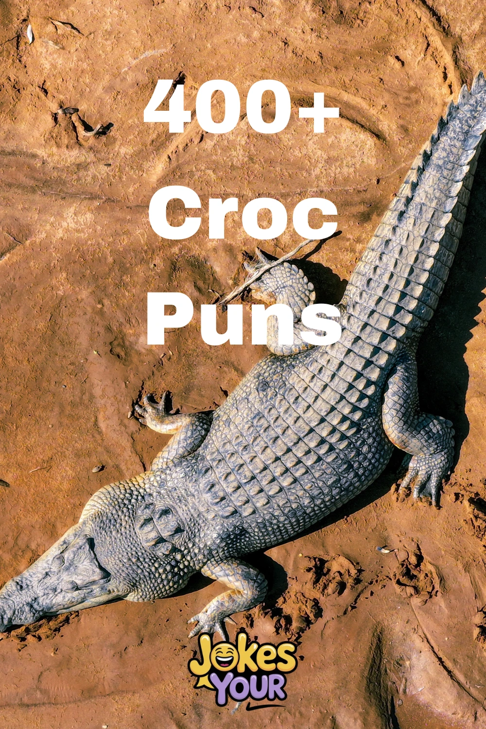 Croc-puns