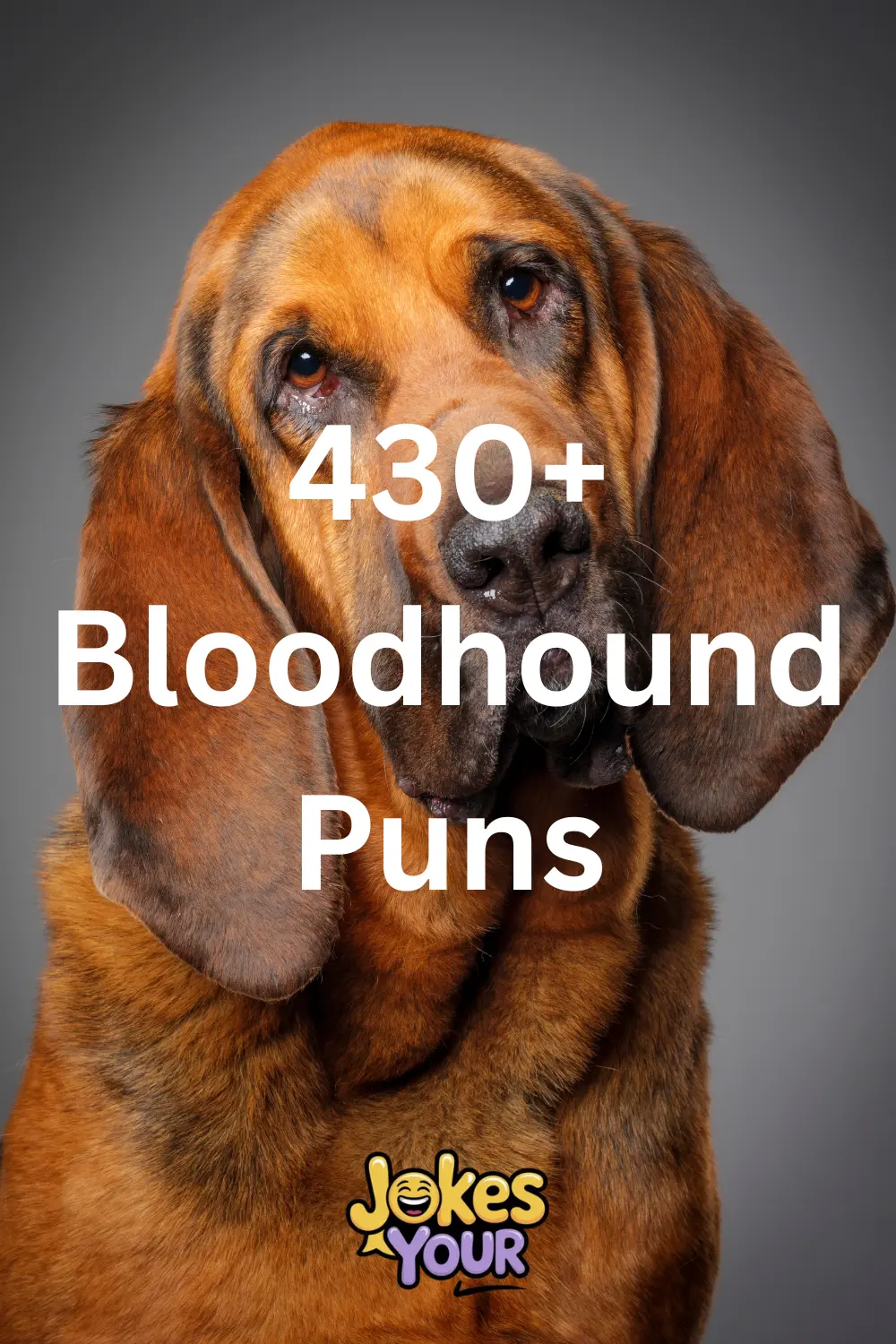 bloodhound-puns