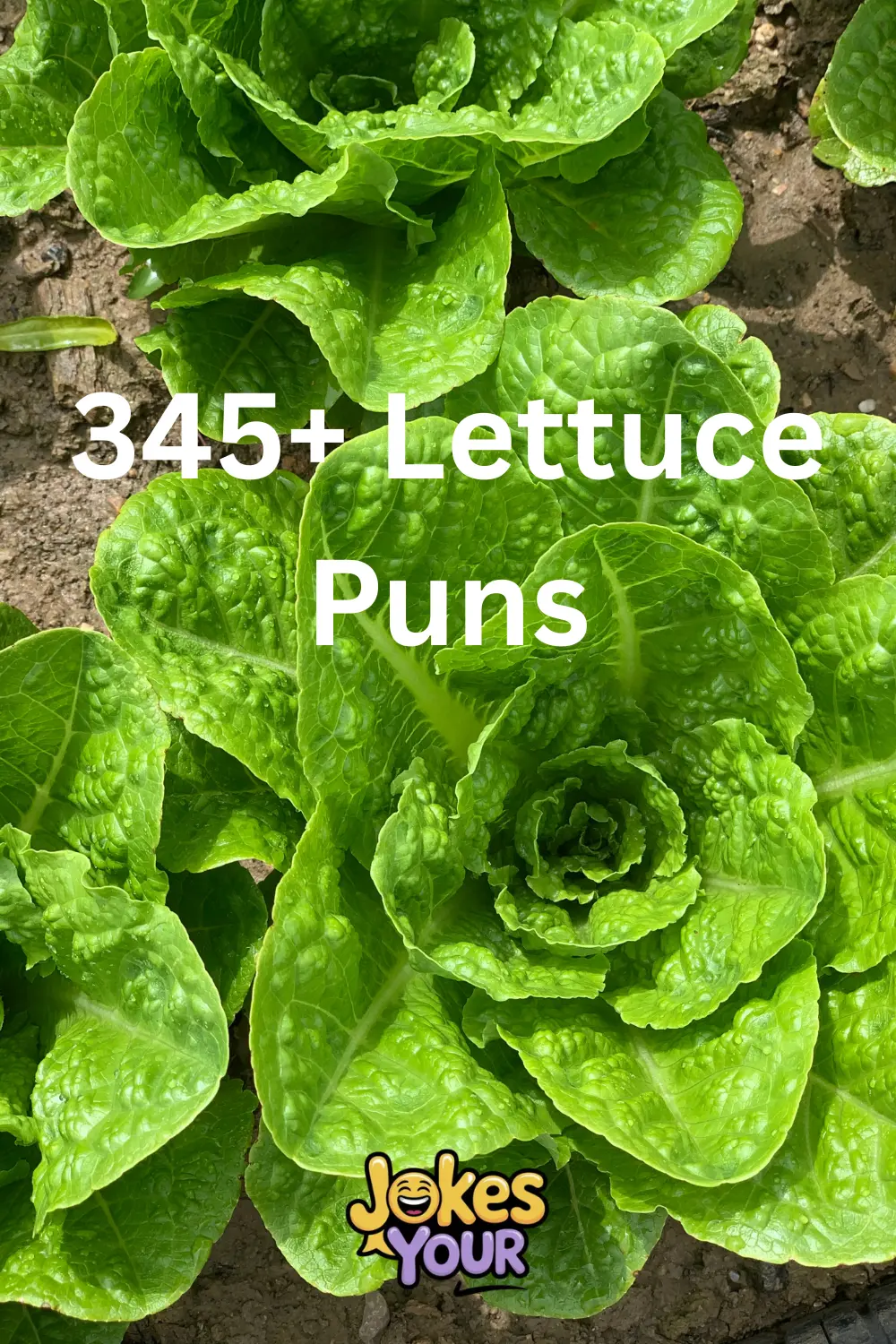 lettuce-puns