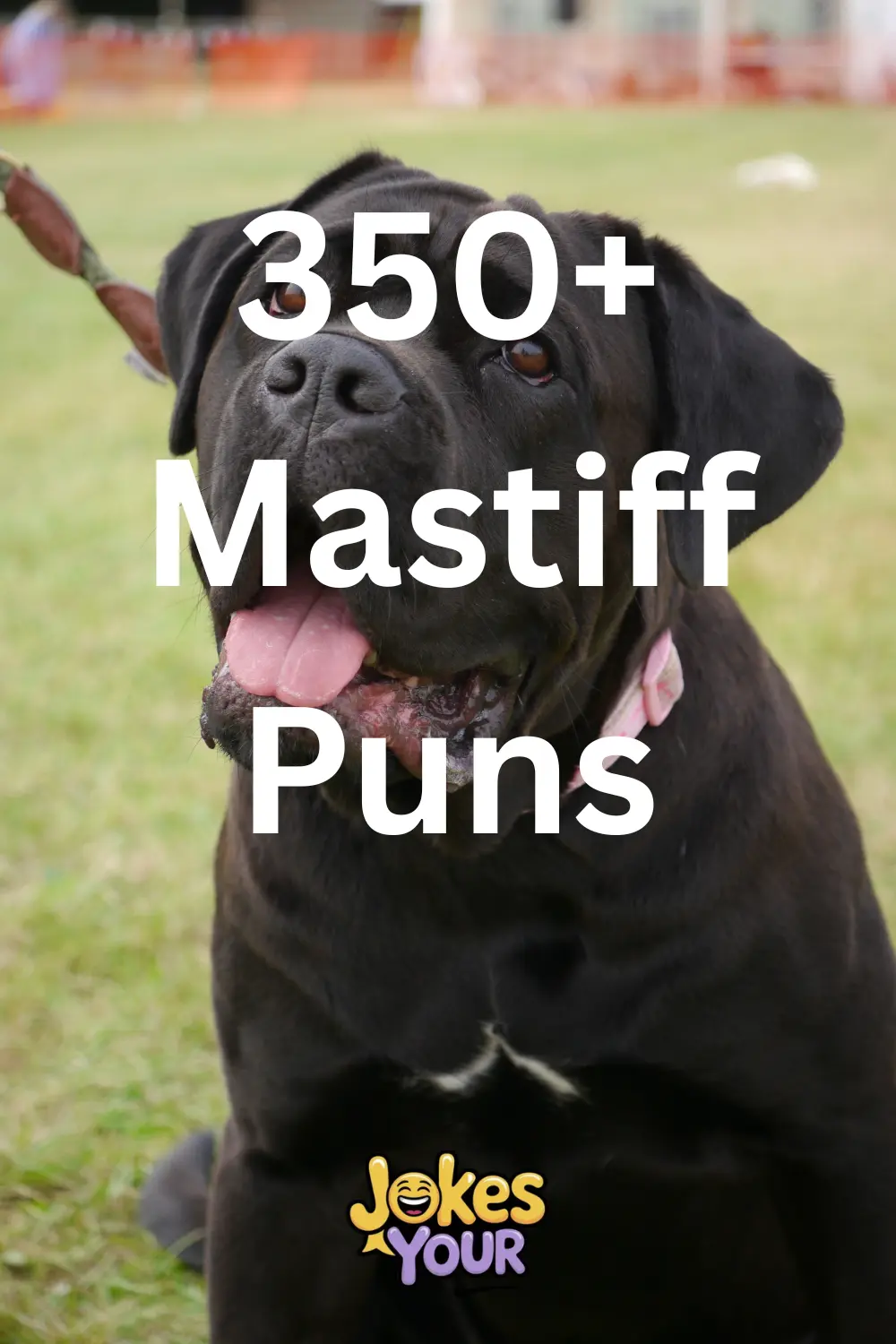 mastiff-puns