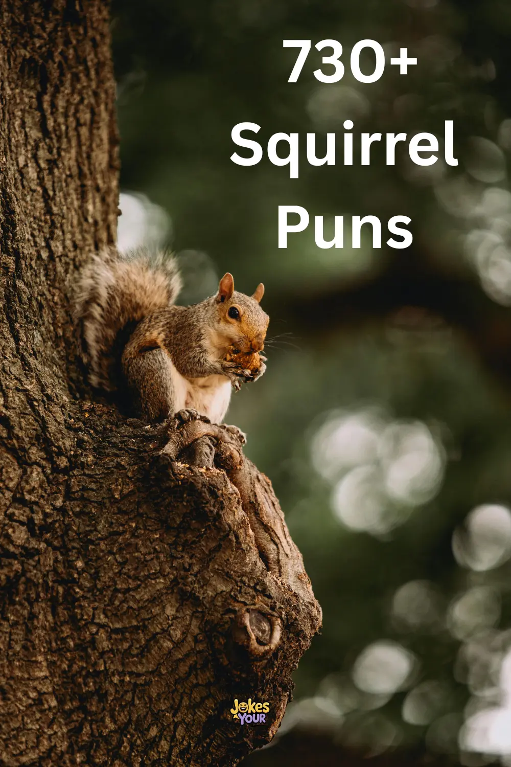 squirrel-puns
