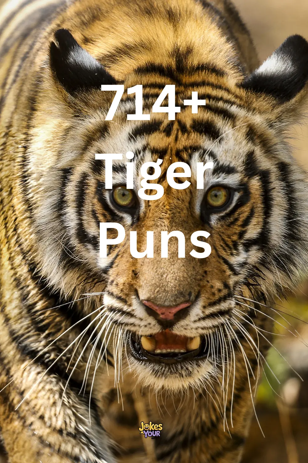 tiger-puns