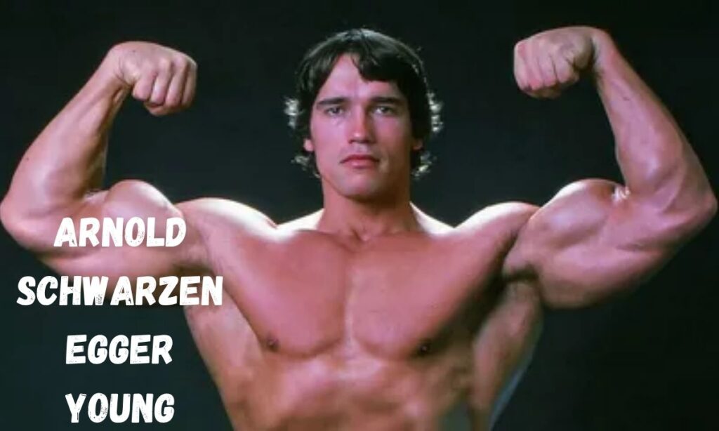 Arnold Schwarzenegger Quick Bio Overview