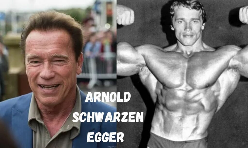 Arnold Schwarzenegger Sons Bodybuilding Career & Mr. Olympia Wins